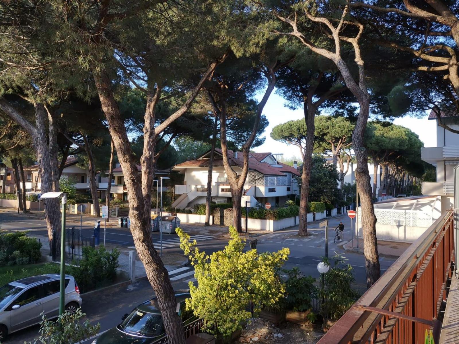 Hotel Casa Dorita 2*
